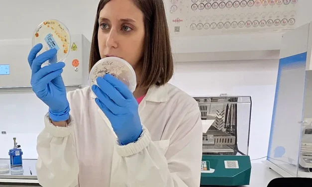 Claves en bioestimulantes microbianos: de las cepas PGPR a la eficacia en campo