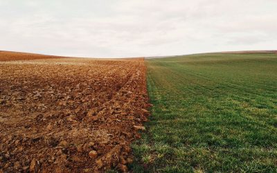 Nuevo Reglamento Europeo de Fertilizantes
