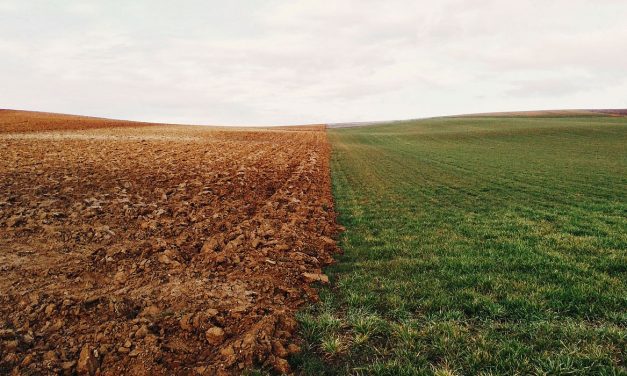 Nuevo Reglamento Europeo de Fertilizantes
