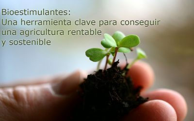 Los bioestimulantes como nuevo enfoque de fertilización