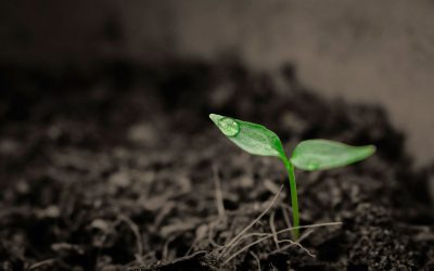 Foro Internacional de Microorganismos Agrícolas