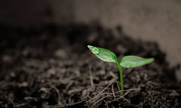 Foro Internacional de Microorganismos Agrícolas