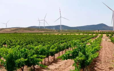 Jornada final del Proyecto SEAWINES