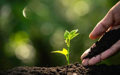 Curso internacional de microorganismos aplicados a la agricultura