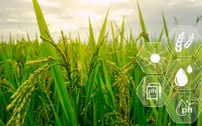 Feria Expo AgriTech 2024