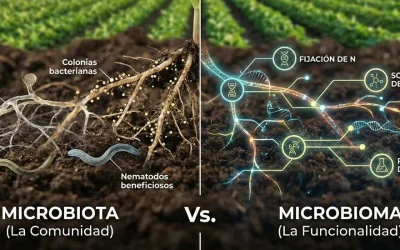 Diferencias entre microbiota y microbioma