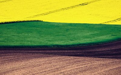 II Programa Experto en Agronutrientes y Bioestimulantes