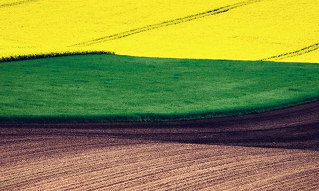 II Programa Experto en Agronutrientes y Bioestimulantes